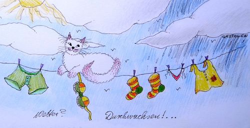 Cartoon: wetter    durchwachsen (medium) by katzen-gretelein tagged katze,wetter,sonne,regen,unterwäsche