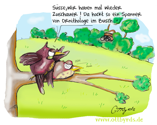 Cartoon: Voyeurismus (medium) by OTTbyrds tagged voyeurismus,ornithologen,intimsphäre,vogelperspektive,ornithologist,privatelifevoyeurism,sexspiele,spanner,strechter