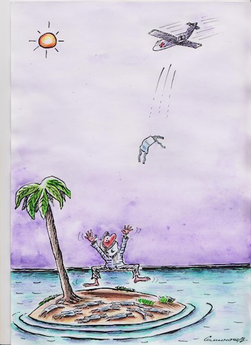 Cartoon: the rescue (medium) by vadim siminoga tagged coronavirus,masks,island,help,sailor,sea,plane