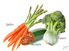 Cartoon: Mutationen bei Gemüse (small) by jpn tagged mutation,genveränderung,nahrung,gemüse,hybride