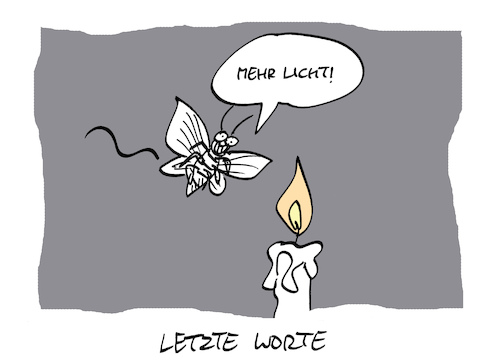 Cartoon: Licht (medium) by Bregenwurst tagged motte,licht,kerze,exitus,letzte,worte