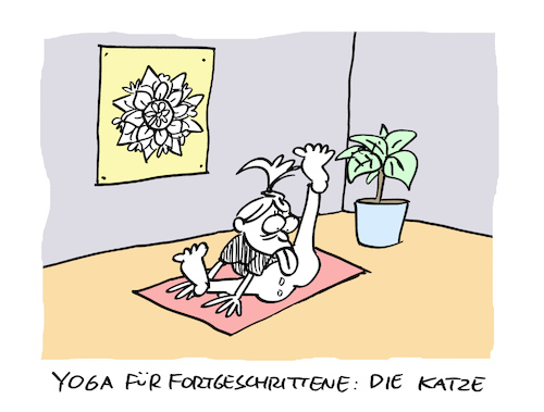 Cartoon: Yogisch (medium) by Bregenwurst tagged yoga,katze,fellpflege