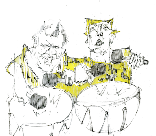 Cartoon: bongo fury (medium) by herranderl tagged seehofer,trump,jahresrückblick