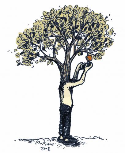 Cartoon: appletreeman (medium) by mortimer tagged mortimer,treebeing,trees,nature,illustration,baum,kopf,körper,metamorphose,verwachsen,mensch,apfel,apfelbaum