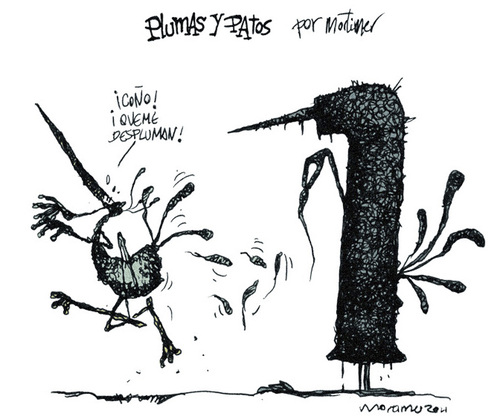 Cartoon: Plumas y pajaros 3 (medium) by mortimer tagged mortimer,mortimeriadas,cartoon,comic,birds