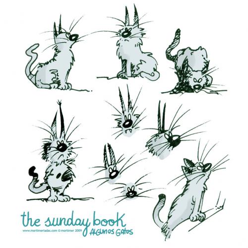 Cartoon: some cats (medium) by mortimer tagged mortimer,mortimeriadas,cartoon,gatos,cats,sketch,sunday,book,libro,domingo,boceto