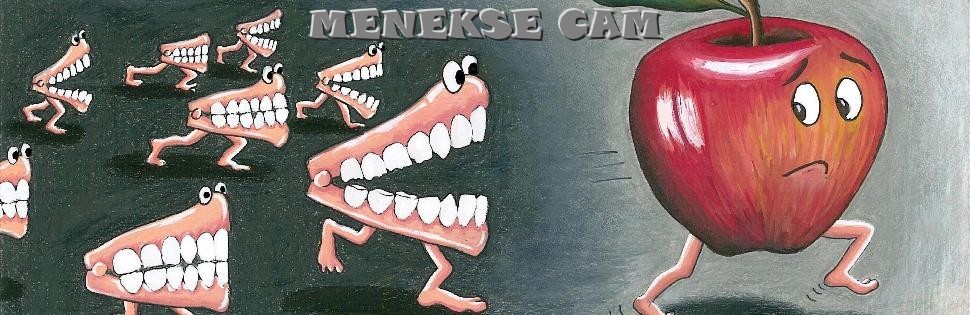 menekse cam's banner