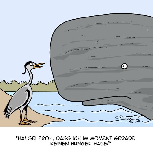 Cartoon: Hast DU ein Glück!! (medium) by Karsten Schley tagged tiere,natur,wale,fischreiher,futter,beute,wasser,vögel,seen,tiere,natur,wale,fischreiher,futter,beute,wasser,vögel,seen