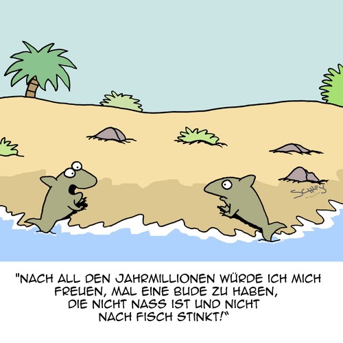 Cartoon: Nach Jahren... (medium) by Karsten Schley tagged evolution,biologie,tiere,natur,geschichte,säugetiere,fische,meere,wohnraum,leben,evolution,biologie,tiere,natur,geschichte,säugetiere,fische,meere,wohnraum,leben