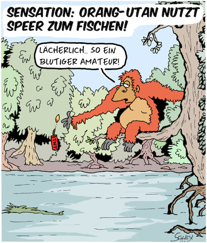 Cartoon: Orang-Utan benutzt Speer!! (medium) by Karsten Schley tagged natur,evolution,menschenaffen,ernährung,jagd,urwald,umwelt,natur,evolution,menschenaffen,ernährung,jagd,urwald,umwelt