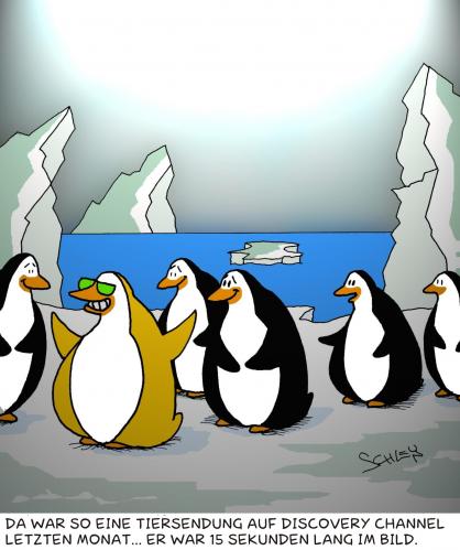 Cartoon: Pinguin TV (medium) by Karsten Schley tagged fernsehen,tierfilme,natur,tiere