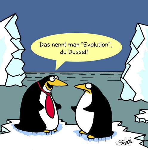 Cartoon: Pinguine (medium) by Karsten Schley tagged evolution,biologie,pinguine,tiere,klima,eis,antarktis,arktis,meer,natur,natur,meer,arktis,antarktis,eis,klima,tiere,pinguine,biologie,evolution