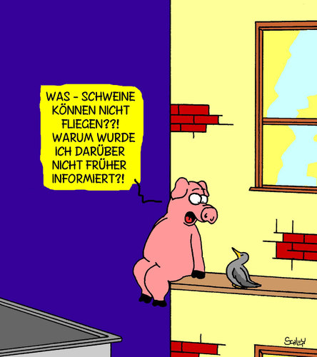 Cartoon: Schwein (medium) by Karsten Schley tagged tiere,natur,stadtleben,information,tiere,natur,stadtleben,information