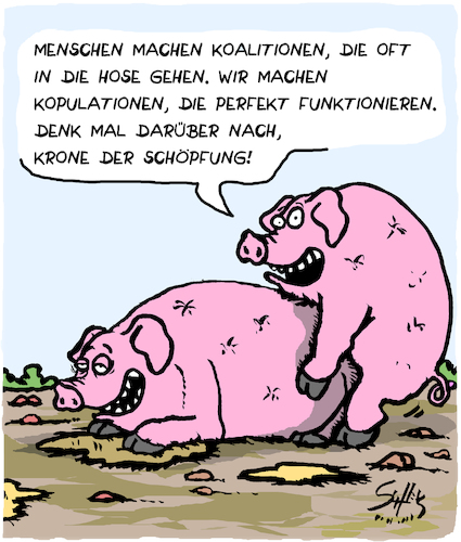 Cartoon: Schweine! (medium) by Karsten Schley tagged politik,koalitionen,politiker,menschheit,verhandlungen,tiere,fortpflanzung,schweine,landwirtschaft,gesellschaft,politik,koalitionen,politiker,menschheit,verhandlungen,tiere,fortpflanzung,schweine,landwirtschaft,gesellschaft