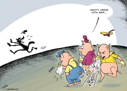 Cartoon: The Big Bad Pork (medium) by rodrigo tagged swine,flu,mexico,pork,meat,virus,three,little,pigs,big,bad,wolf,disney,health,disease