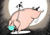 Cartoon: Bucking Swine Flu (small) by rodrigo tagged flu,influenza,swine,h1n1,disease,health,mexico