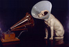 Cartoon: Masters voice (small) by tanerbey tagged master,voice,dog,phonograph,trademark,emblem