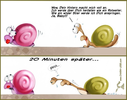 Cartoon: Schnecken (medium) by Charmless tagged langsam,frau,mann,rottweiler,liebe,schnecken