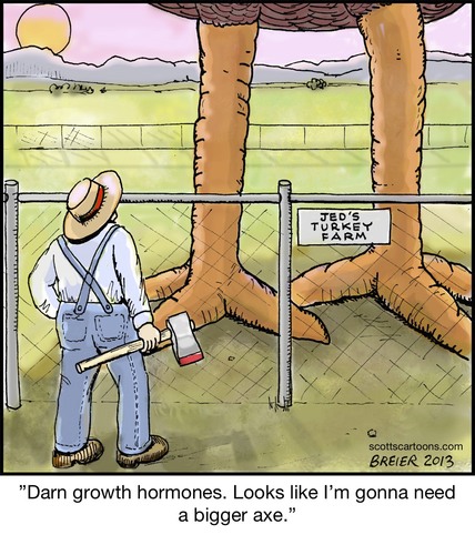 Cartoon: Growth Hormone (medium) by noodles tagged growth,hormone,axe,farmer,turkey,thanksgiving