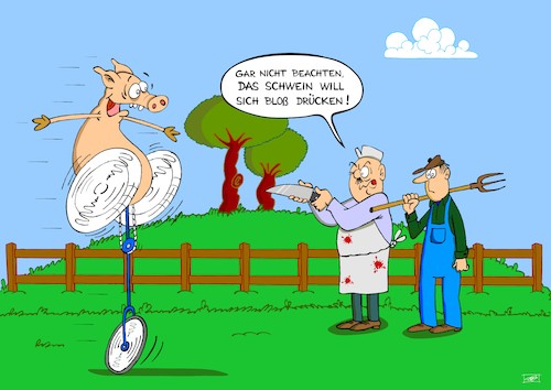 Cartoon: einrad (medium) by Pinella tagged einrad,schlachtung,bauer,fleischer
