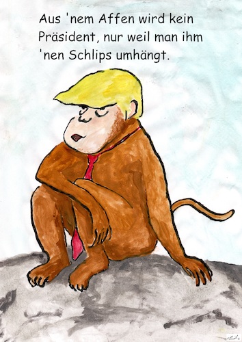 Cartoon: Monkey Trump (medium) by Stefan von Emmerich tagged arschloch,trump,donald,präsident,dummkopf,affe,wichser,blödmann,impeachment,schlips