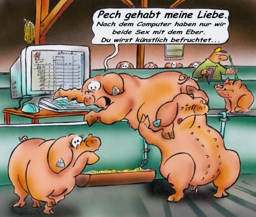 Cartoon: moderne Liebe unter Nutzvieh (medium) by HSB-Cartoon tagged tiere,schweine,stall,landwirtschaft,agrar,liebe