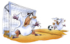 Cartoon: WM Qatar 03 (small) by HSB-Cartoon tagged wm,worldchampionship,qatar,katar,soccer,fussball,fußball,scheich,wüste,dessert,weltmeisterschaft,fussballspiel,nationalmannschaft,team,cartoon