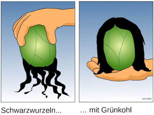 Cartoon: Schwarzwurzeln mit Grünkohl (medium) by Cartoonfix tagged grünkohl,mit,schwarzwurzel,cdu,grüne,bundestagswahl,2021