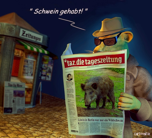 Cartoon: Untergetaucht (medium) by Cartoonfix tagged berlin,löwin,wildschwein