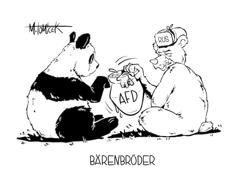 Bärenbrüder Bärenbrüder