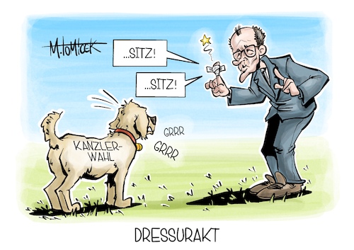 Cartoon: Dressurakt (medium) by Mirco Tomicek tagged kanzler,kanzlerwahl,wahl,bundeskanzler,erster,wahlgang,wahlgänge,friedrich,merz,union,cdu,csu,spd,koalition,groko,karikatur,pressekarikatur,cartoon,mirco,tomicek,kanzler,kanzlerwahl,wahl,bundeskanzler,erster,wahlgang,wahlgänge,friedrich,merz,union,cdu,csu,spd,koalition,groko,karikatur,pressekarikatur,cartoon,mirco,tomicek