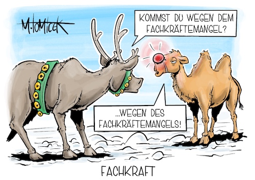 Fachkraft