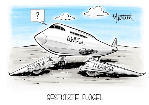 Cartoon: Gestutzte Flügel (medium) by Mirco Tomicek tagged landtagswahlen,landtagswahl,wahle,wahl,sachsen,thüringen,afd,cdu,olaf,scholz,ampel,regierung,stimmen,auszählung,wahlergebnisse,wahlergebnis,afghanistan,abschiebeflug,abschiebung,straftäter,straftat,flug,flüge,flugzeug,karikatur,cartoon,pressekarikatur,mirco,tomicek,landtagswahlen,landtagswahl,wahle,wahl,sachsen,thüringen,afd,cdu,olaf,scholz,ampel,regierung,stimmen,auszählung,wahlergebnisse,wahlergebnis,afghanistan,abschiebeflug,abschiebung,straftäter,straftat,flug,flüge,flugzeug,karikatur,cartoon,pressekarikatur,mirco,tomicek