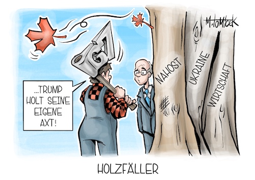 Holzfäller Holzfäller