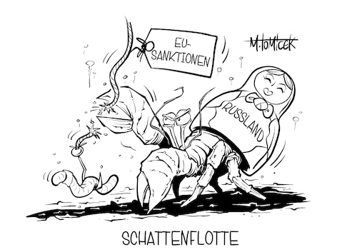 Schattenflotte