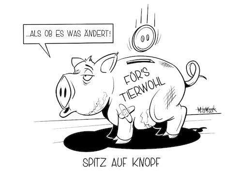 Cartoon: Spitz auf Knopf (medium) by Mirco Tomicek tagged sondersitzung,tierwohl,tier,wohl,tierschutz,tiere,schwein,schweine,kühe,kuh,schnitze,kompetenznetzwerk,bundesagrarministers,jochen,borchert,cdu,kommission,fleisch,wurst,preis,fleischpreis,bundeslandwirtschaftsministerin,tierprodukte,cartoon,karikatur,mirco,tomicek,sondersitzung,tierwohl,tier,wohl,tierschutz,tiere,schwein,schweine,kühe,kuh,schnitze,kompetenznetzwerk,bundesagrarministers,jochen,borchert,cdu,kommission,fleisch,wurst,preis,fleischpreis,bundeslandwirtschaftsministerin,tierprodukte,cartoon,karikatur,mirco,tomicek