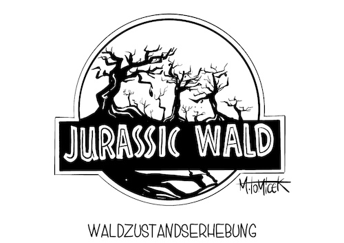 Waldzustandserhebung