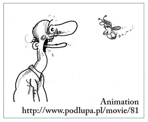 Cartoon: Insect (medium) by Darek Pietrzak tagged animation