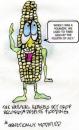 Cartoon: Record Corn Crop (small) by dogbreath tagged economics