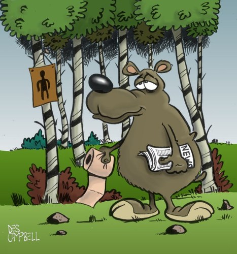 Cartoon: Yes he does! (medium) by campbell tagged toilet,humor,bear,woods
