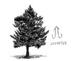 Cartoon: Tree (small) by Teruo Arima tagged tree,plant,chinko,manko,three