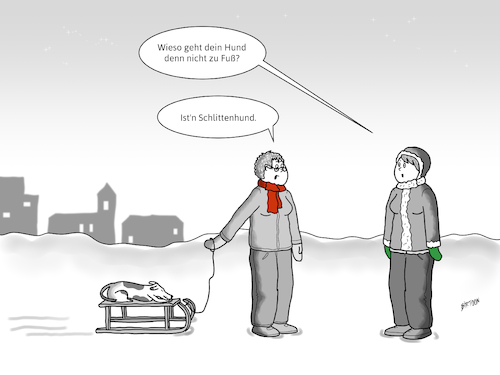 Cartoon: Wieso geht er nicht zu Fuß? (medium) by Birtoon tagged schlitten,winter,schnee