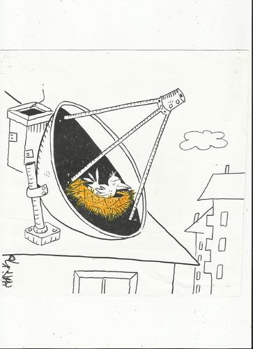 Cartoon: bird (medium) by yasar kemal turan tagged bird