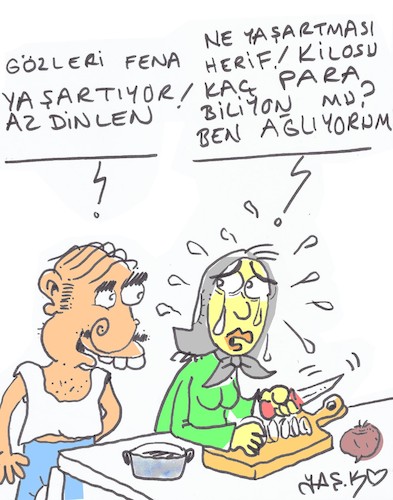 Cartoon: onion very expensive (medium) by yasar kemal turan tagged onion,very,expensive