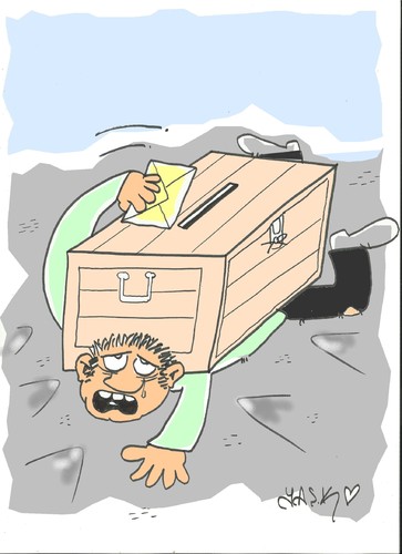 Cartoon: turkey election (medium) by yasar kemal turan tagged voter,vote,democracy,election,turkey