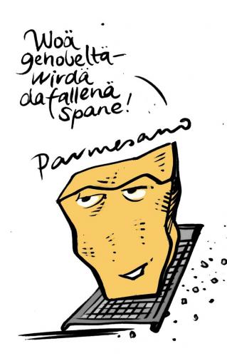 Cartoon: Parmesan (medium) by Jollustration tagged käse,parmesan,pasta,food,for,fun