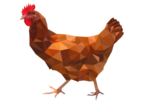 Cartoon: Chicken (medium) by alesza tagged animal,chicken,huhn,bird,illustration