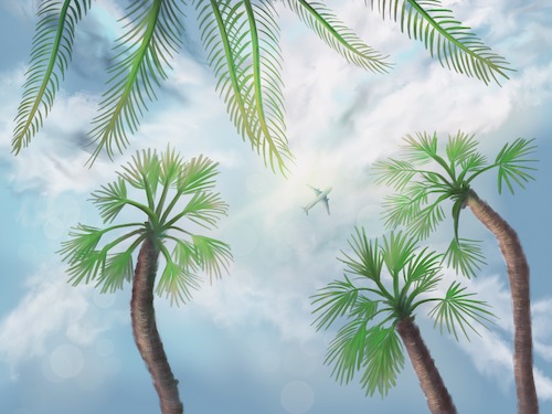 Cartoon: Holidays - Digital Painting (medium) by alesza tagged digital,painting,palm,trees,summer,sun,airplane,vacation,sky,clouds,travel,traveling,illustration,drawing