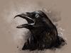 Cartoon: Crow (small) by alesza tagged crow,bird,animal,illustration,painting,digital,art,beak