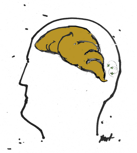Cartoon: Some minds (medium) by Monica Zanet tagged zanet,anatomy,brain,mind